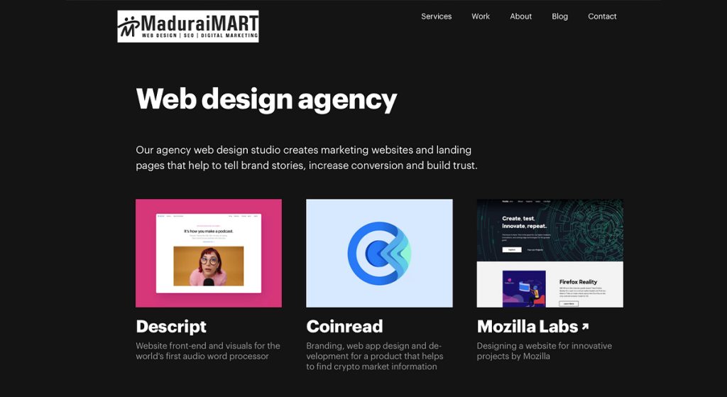 dynamic website design company in madurai